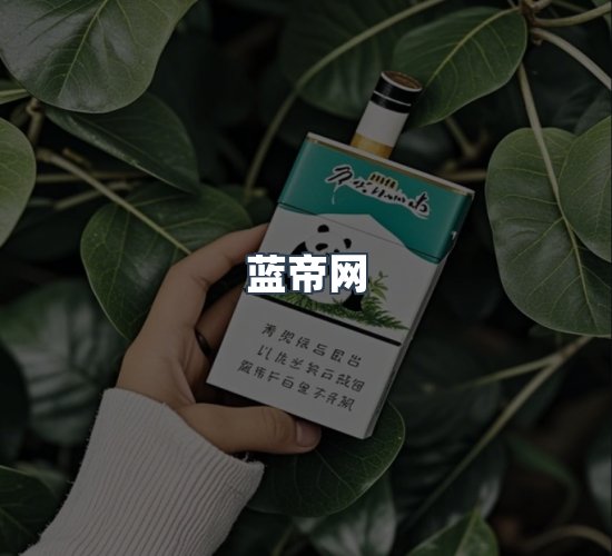 关于蓝帝网